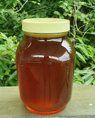 자연인님의 자유주제 · 자유게시판 작성글 사진