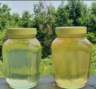 자연인님의 자유주제 · 자유게시판 작성글 사진