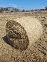 팜모닝 · 게시글 이미지