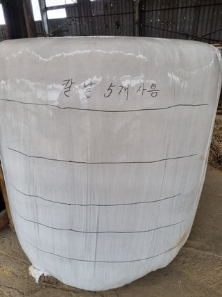 박대용님의 작성글 사진