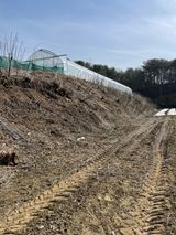 팜모닝 두릅·영농일지 게시글 이미지