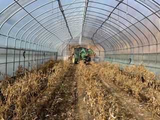 정한용님의 고추 · 영농일지 작성글 사진