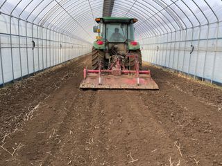 정한용님의 고추 · 영농일지 작성글 사진