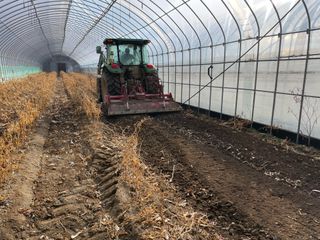 정한용님의 고추 · 영농일지 작성글 사진