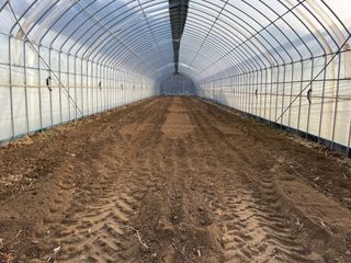 정한용님의 고추 · 영농일지 작성글 사진