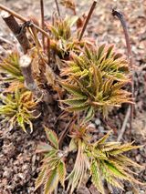 팜모닝 자유주제·자유게시판 게시글 이미지