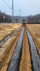 팜모닝 자유주제·자유게시판 게시글 이미지