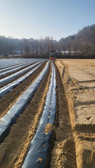 벼19055님의 자유주제 · 자유게시판 작성글 사진