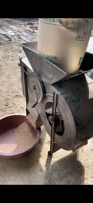 정한용님의 벼 · 영농일지 작성글 사진