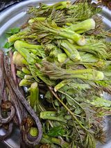 팜모닝 자유주제·자유게시판 게시글 이미지