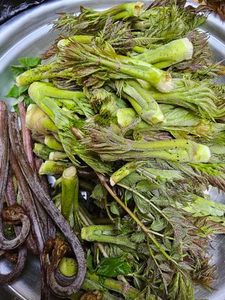 사랑녀님의 자유주제 · 자유게시판 작성글 사진