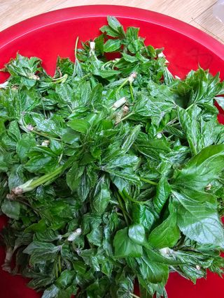 사랑녀님의 자유주제 · 자유게시판 작성글 사진