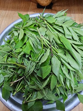 사랑녀님의 자유주제 · 자유게시판 작성글 사진