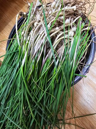 사랑녀님의 자유주제 · 자유게시판 작성글 사진