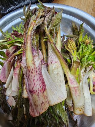 사랑녀님의 자유주제 · 자유게시판 작성글 사진