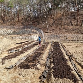 이종권님의 기타작물 · 영농일지 작성글 사진