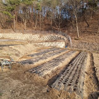 이종권님의 기타작물 · 영농일지 작성글 사진