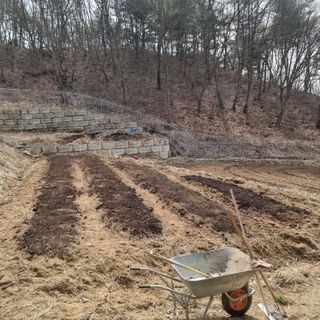 이종권님의 기타작물 · 영농일지 작성글 사진