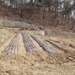 이종권님의 기타작물 · 영농일지 작성글 사진