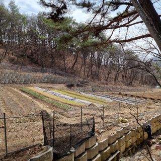 이종권님의 기타작물 · 영농일지 작성글 사진