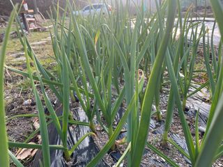 도곡님의 자유주제 · 자유게시판 작성글 사진