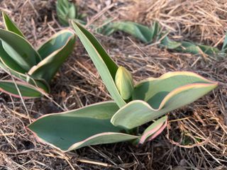 도곡님의 자유주제 · 자유게시판 작성글 사진