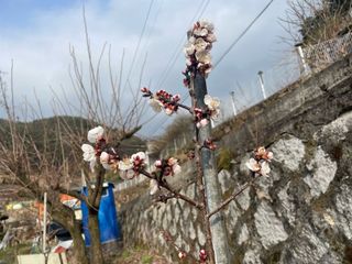 도곡님의 자유주제 · 자유게시판 작성글 사진