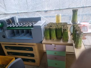 이정식님의 4월 농사계획 공유해요 · 참여글 작성글 사진