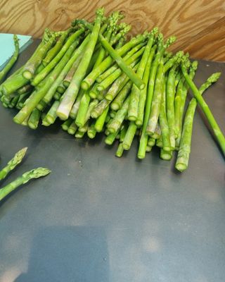 이정식님의 4월 농사계획 공유해요 · 참여글 작성글 사진