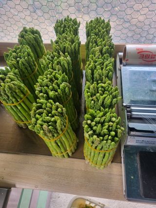 이정식님의 4월 농사계획 공유해요 · 참여글 작성글 사진