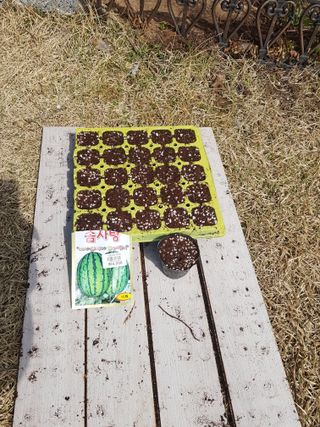 김건호님의 자유주제 · 자유게시판 작성글 사진