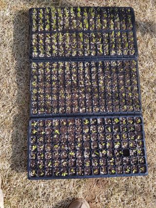 김건호님의 자유주제 · 자유게시판 작성글 사진