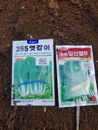 김건호님의 자유주제 · 자유게시판 작성글 사진