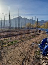 팜모닝 자유주제·자유게시판 게시글 이미지