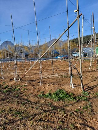 황영래님의 자유주제 · 자유게시판 작성글 사진