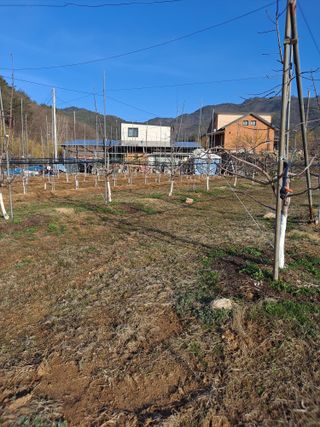 황영래님의 자유주제 · 자유게시판 작성글 사진