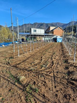 황영래님의 자유주제 · 자유게시판 작성글 사진