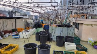 복숭아11454님의 4월 농사계획 공유해요 · 참여글 작성글 사진