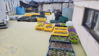 복숭아11454님의 4월 농사계획 공유해요 · 참여글 작성글 사진