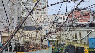 복숭아11454님의 4월 농사계획 공유해요 · 참여글 작성글 사진