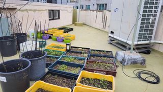 복숭아11454님의 4월 농사계획 공유해요 · 참여글 작성글 사진