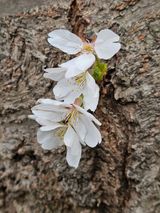 팜모닝 자유주제·자유게시판 게시글 이미지