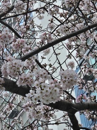 땅끝해남님의 자유주제 · 자유게시판 작성글 사진