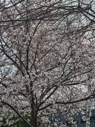 땅끝해남님의 자유주제 · 자유게시판 작성글 사진