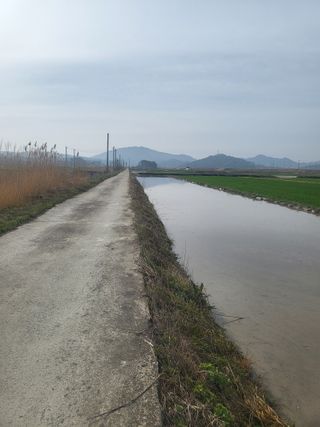 김영진(전남영광)님의 벼 · 자유게시판 작성글 사진