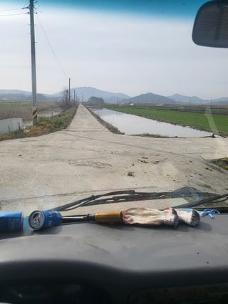 김영진(전남영광)님의 벼 · 자유게시판 작성글 사진