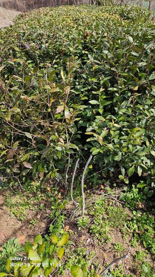 문해님의 자유주제 · 자유게시판 작성글 사진