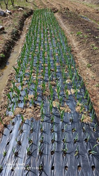 문해님의 자유주제 · 자유게시판 작성글 사진