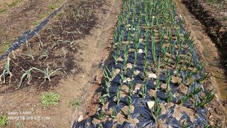 문해님의 자유주제 · 자유게시판 작성글 사진