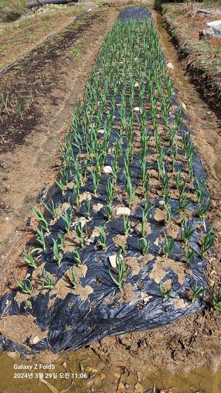 문해님의 자유주제 · 자유게시판 작성글 사진